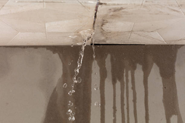 Professional Structural Drying technician working in Mulberry, OH